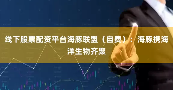 线下股票配资平台海豚联盟（自费）：海豚携海洋生物齐聚